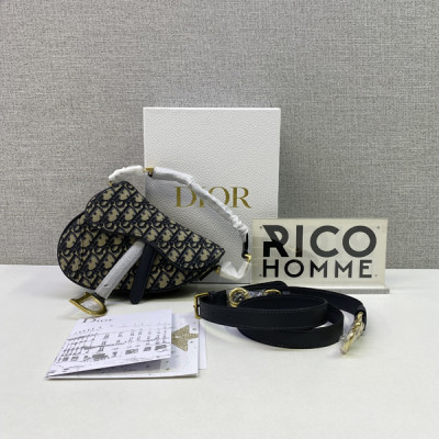 D올 오블리크 새들백 (2size)